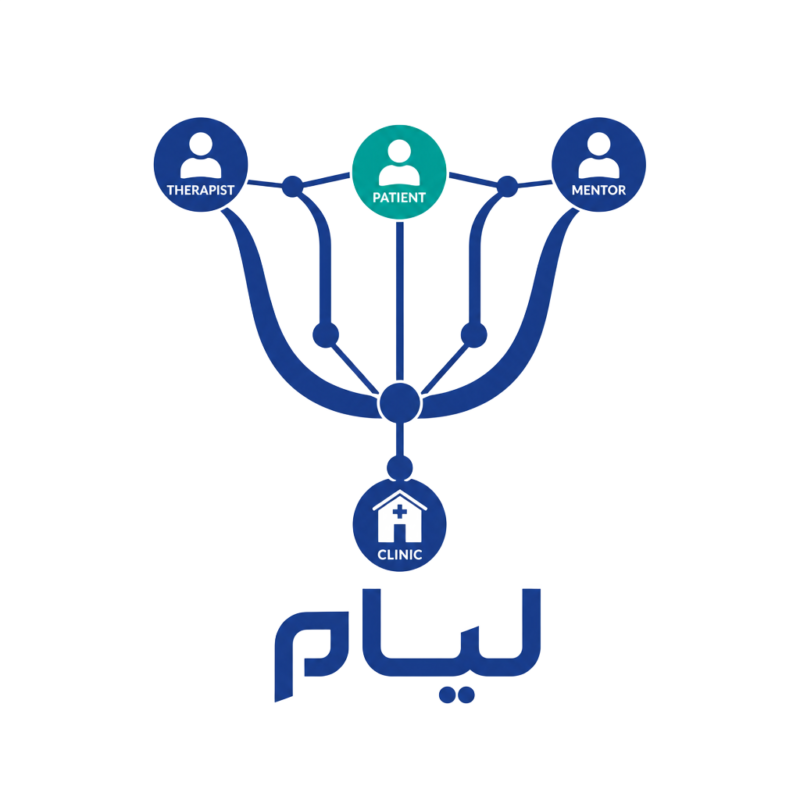 سازمان و هولدینگ لیام
